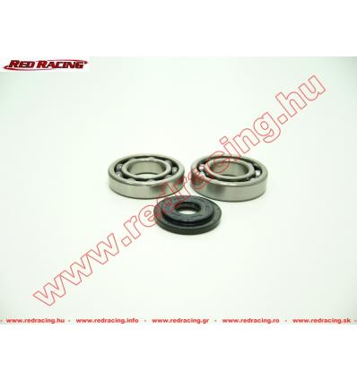 RMS FŐTENGELYCSAPÁGY SZETT PIAGGIO SFERA 125 / VESPA ET4 125 / (NTN)