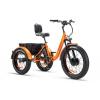ZT-80AA ZTECH elektromos tricikli 250W 48V 16Ah